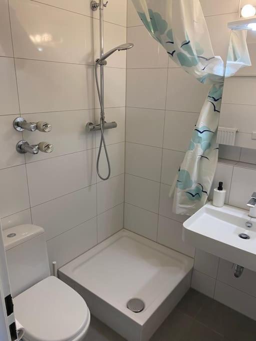 Schoene, Kleine, Gemuetliche Wohnung - Stadtmitte Mainz Exterior foto